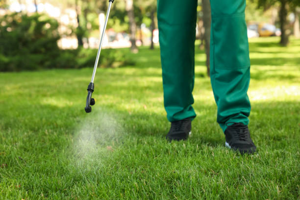 Best Rat Extermination Near Me  in Ashland, OH