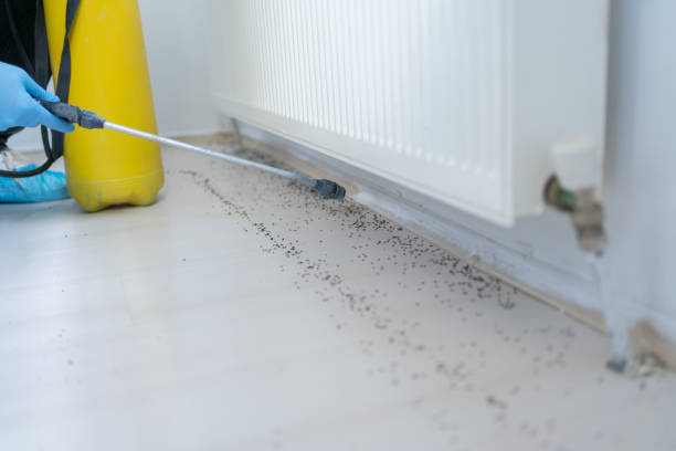Best Insect Control  in Ashland, OH
